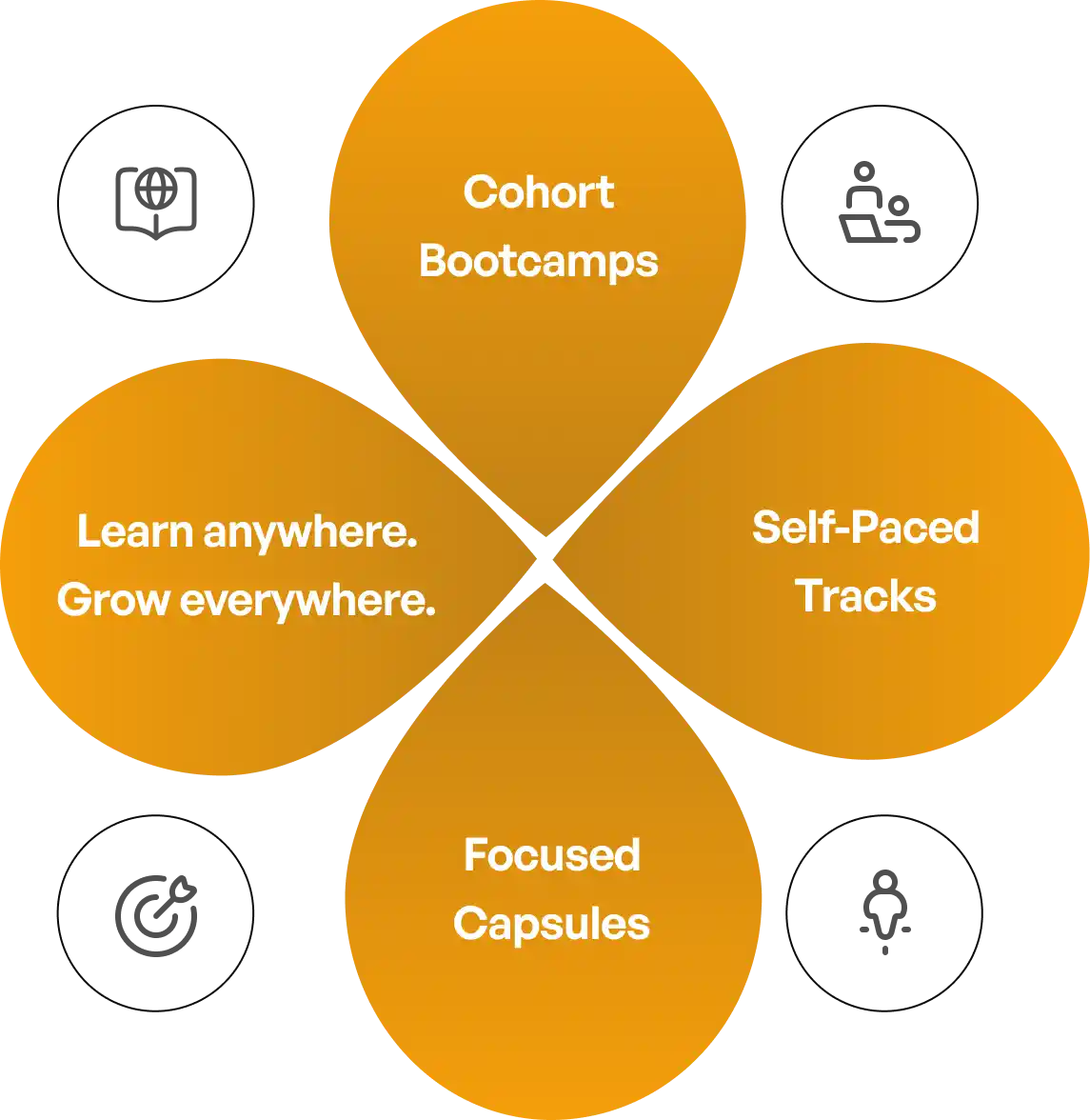 Self-Paced Learning Programs: program overview